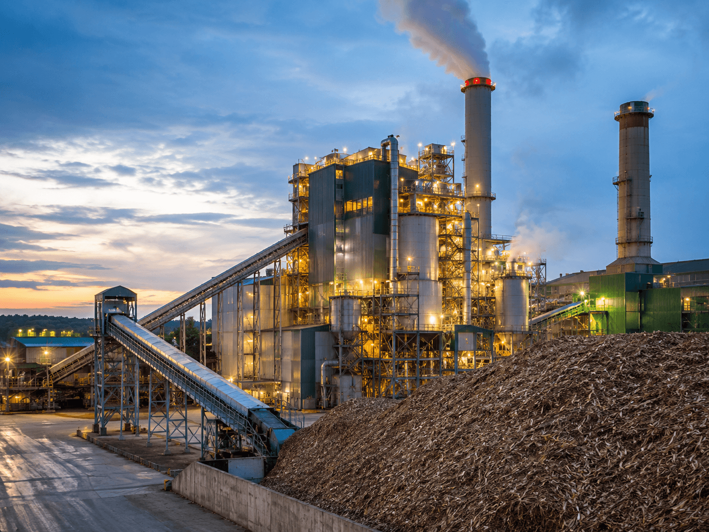 Biomass Power Plant